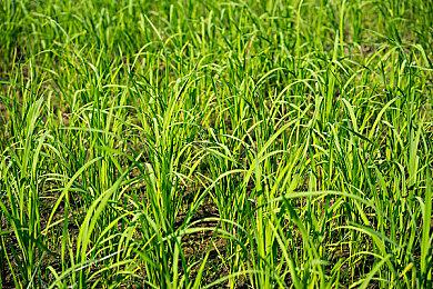 Epic喜加三 免费领《地下城工会》《永不孤单》